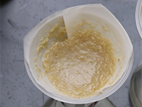 果蔬生產加工—酶制劑解決方案